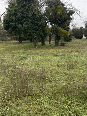 terrain à la vente -   77130  LA GRANDE PAROISSE, surface 1500 m2 vente terrain - UBI454657688